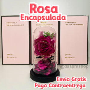 🌹 ROSA ETERNA 🌹