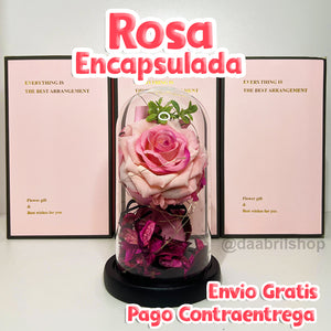 🌹 ROSA ETERNA 🌹